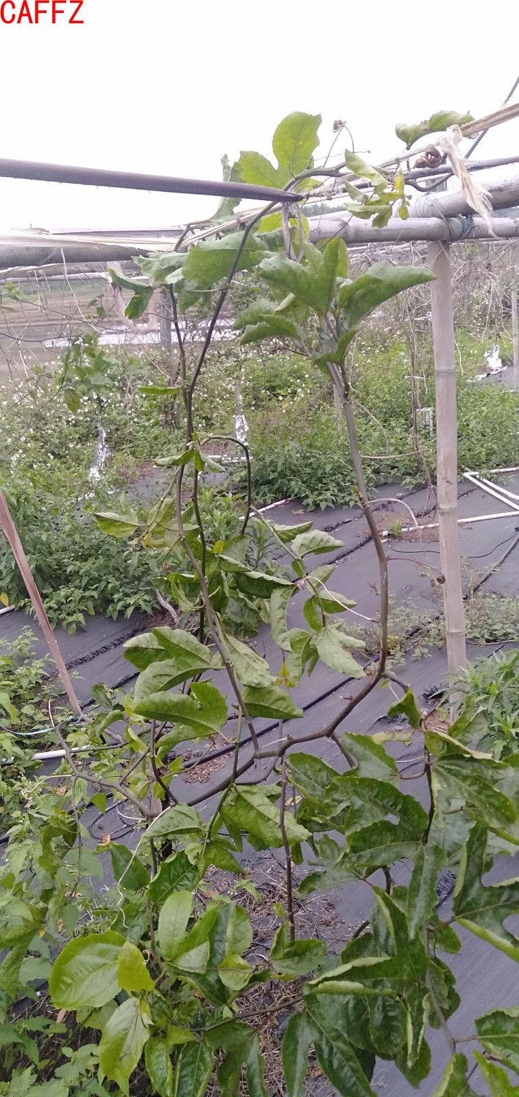 2021-03-21 17.47.01.jpg